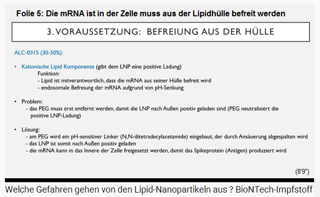 Slide 5: The mRNA in the
                  cell has to be freed from the lipid envelope