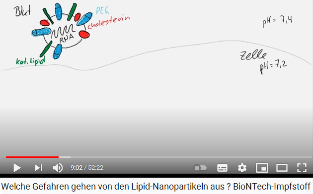 Slide 6a: Drawing of
                the spike protein in a body cell, pH values ​​7.2 and
                7.4