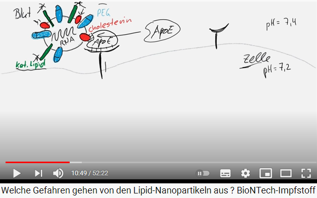 Slide 6b of
                the spike protein with reactions with APOE molecule and
                apolipo protein etc.