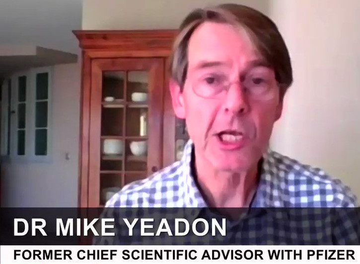 Dr. Mike Yeadon, Ex-Chefberater von
                Pfizer, Portr�t