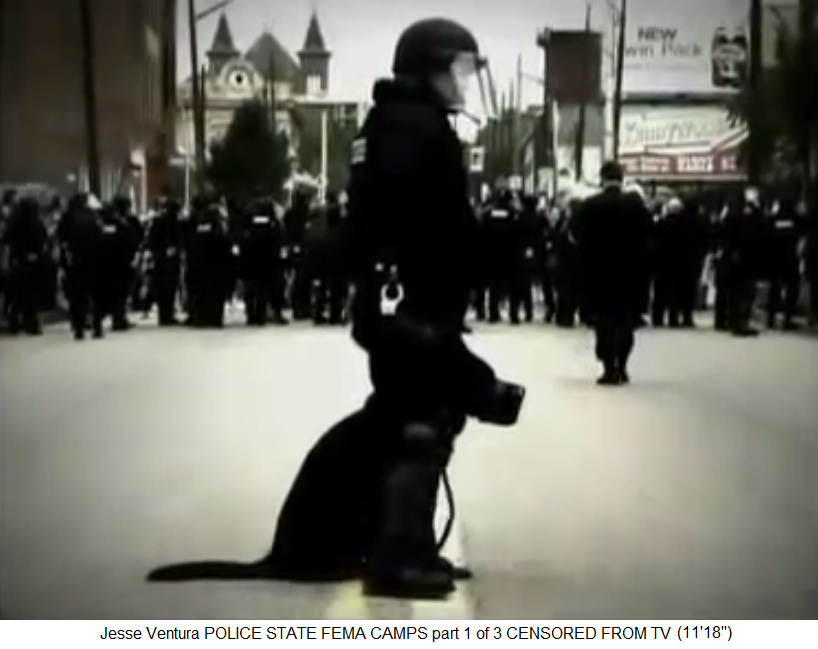 Terrorpolizei mit aggressivem Rottweiler-Hund
                  2