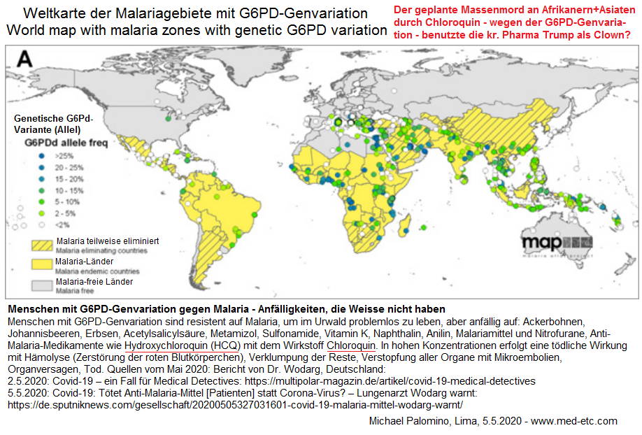 Weltkarte mit
                    Malaria-Gebieten mit Malaria-Zonen-Menschen mit der
                    Variation G6PD, die anfällig auch Chloroquin sind