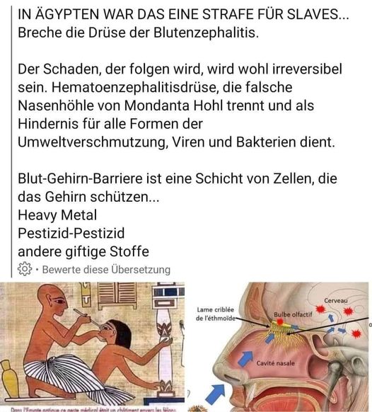 Corona19-Test dudrch die Nase
                  zerst�rt die Blut-Hirn-Schranke