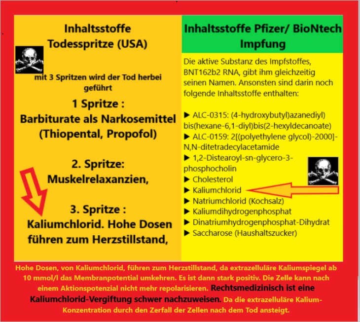 Liste der
                      t�dlichen Inhaltsstoffe der Pfizer-Gen-Impfung mit
                      Kaliumchlorid, das einen Herzstillstand
                      provozieren kann