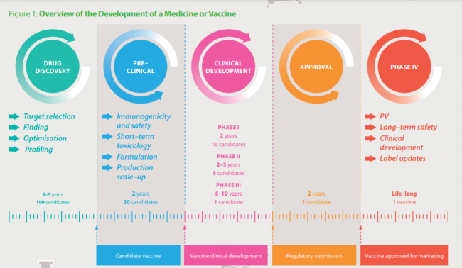 Entwicklungsphasen eines
                    Impfstoffs: Das dauert 5 bis 10 Jahre