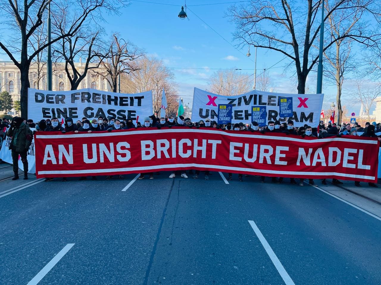 Demo in
                  Wien gegen Coronawahn 8.1.2022: "An uns bricht
                  eure Nadel"