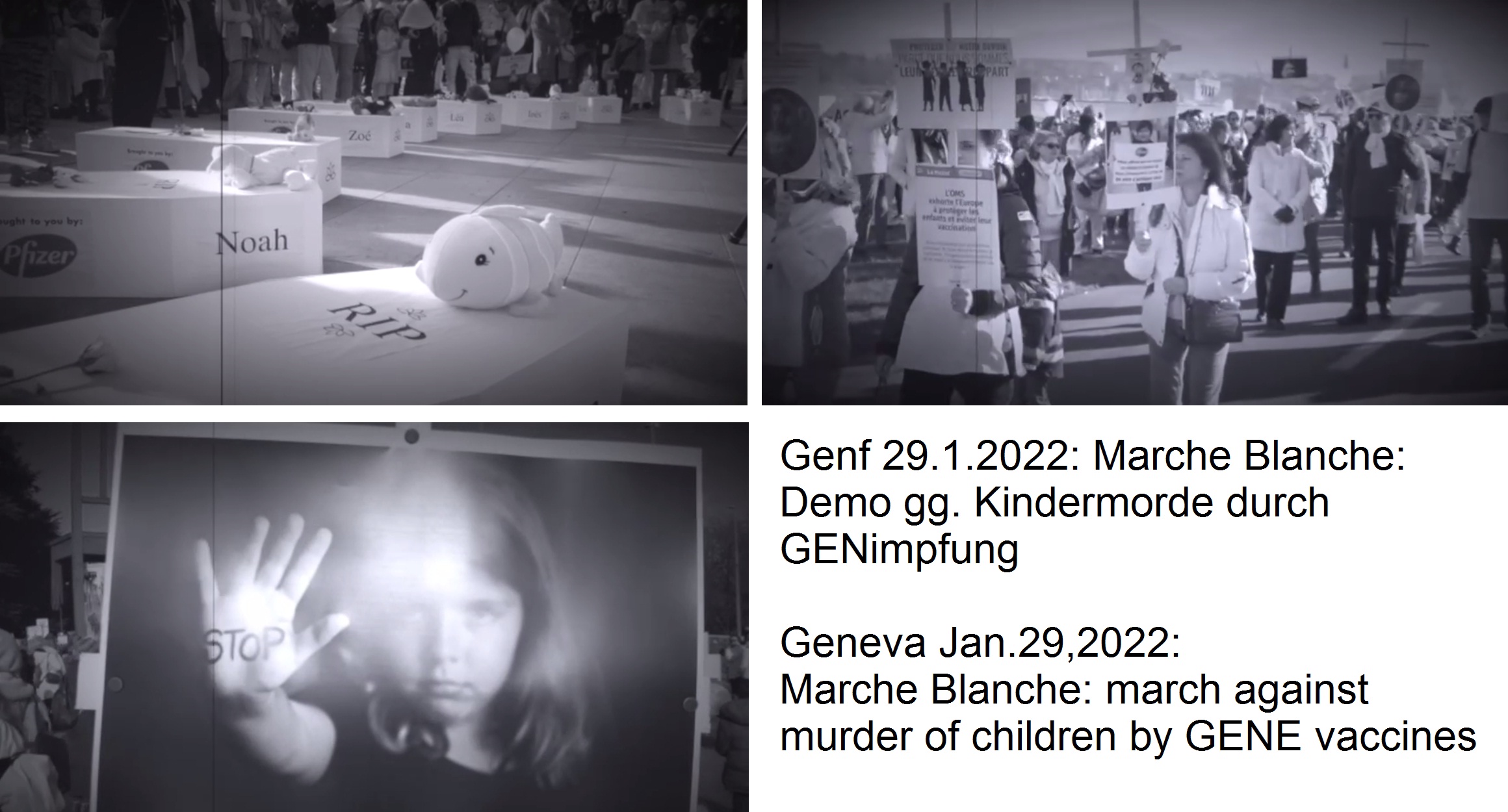 Video 29.1.2022: Demo Genf gg.
                            Kindermorde duch GENimpfung - Geneva march
                            ag child murder by GENE vaccines (1'33'')