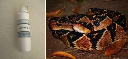 9-5-2022: El remedio Lachesis (serpiente
                Cascabela muda) contra la vacunaci�n de VENENO DE
                SERPIENTE