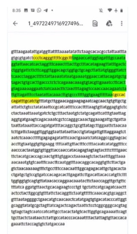 The
                  list with the compared base pairs