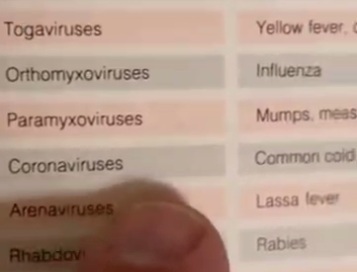 29.8.2023: Grippeviren waren schon IMMER
                        "Coronaviren": Coronaviren = normale
                        Grippe (coronaviruses = common cold)