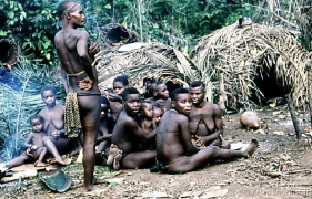 Pygm�endorf bei Mbaiki