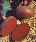 Rote-Beete-Saft, ein
                                    Element gegen Blutarmut