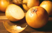 Para la
                                        revitalizaci�n del cuerpo para
                                        recuperar la potencia: comer
                                        cebolla