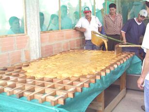 Producci�n de chancaca 03, dar la
                              masa en formas