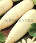 Jugo de nabo contra amigdalitis