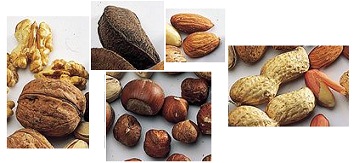 Nuts, for
                    example walnut, Brazil nut, almonds, hazel nuts, and
                    peanuts