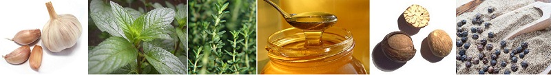 Herbes et
                            �pices, par exemple l’ail, la menthe
                            poivr�e, le thym, le miel, la noix de
                            muscade et le poivre noir