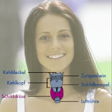 La
                          gl�ndula tiroides