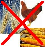 Weizen, Mais und Poulet sind f�r
                        Blutgruppe B sch�dlich.