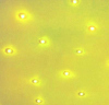 Una sala iluminada
                                amarilla es como un sol durante lluvia;
                                agua iluminada con amarillo cura
                                constipaci�n.