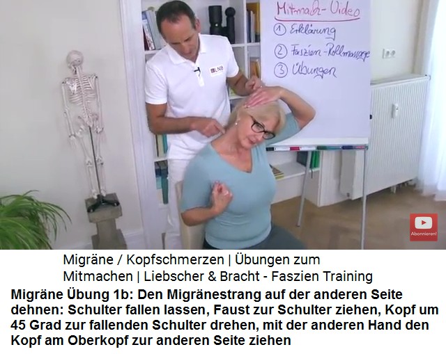 Migr�ne �bung 1b: Der
                  Migr�nestrang wird gedehnt: Schulter fallenlassen,
                  Faust zur Schulter ziehen, Kopf um 45 Grad zur
                  fallenden Schulter drehen, mit der anderen Hand den
                  Kopf am Oberkopf zur anderen Seite ziehen - andere
                  Seite