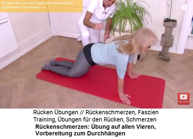 R�ckenschmerzen-�bung 1a:
                  Auf allen vieren stehen und das Durchh�ngen
                  vorbereiten