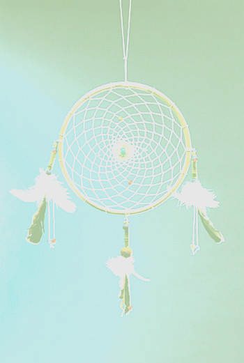 Psyche ist wie ein Spinnennetz oder eine
                Wunderblume - hier als Traumf�nger dargestellt