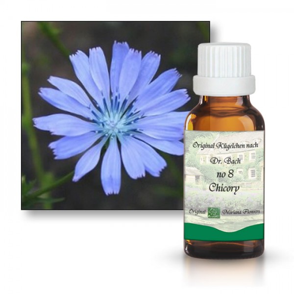 Bachbl�tenessenz Wegwarte (Chicory):