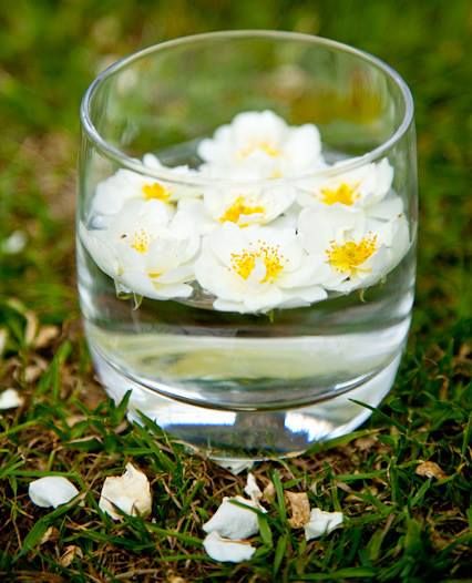 Herstellung von
                  Bachbl�tenessenzen: Bachbl�ten in Wasserschale in der
                  Sonne 02