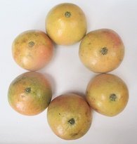 Grapefruits mit Mineralien und
                        viel Vitamin C