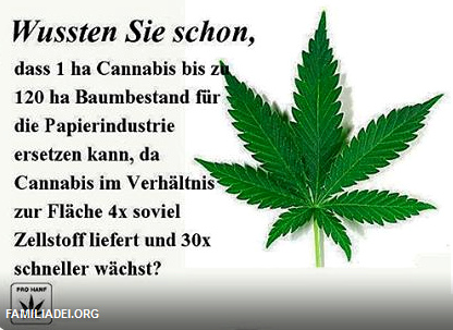 Cannabis f�r Papierherstellung: 1 Hektar Cannabis
                kann bis zu 120 Hektar Baumbestand f�r die
                Papierindustrie ersetzen, denn Cannabis liefert 4x so
                viel Zelstoff, und w�chst 30x schneller als B�ume