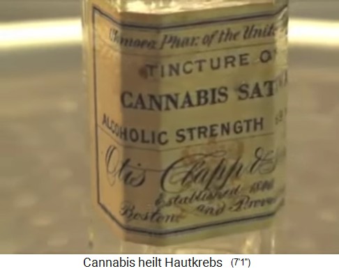 Eine Flasche für Cannabis sativa der
                    1930er Jahre