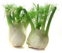 Fenchel: Knolle, Triebe
              und Fiederbl�tter ("Fenchelgr�n")