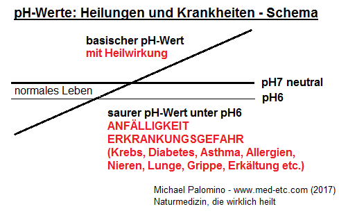 Das Schema mit den
                            pH-Werten: sauer unter pH6 (Anfälligkeit und
                            Erkrankungsgefahr), zwischen pH6 und pH7 für
                            das normale Leben, der neutrale pH-Wert pH7,
                            und der basisch-heilende pH-Wert über pH7
                            zwischen pH7 und pH8