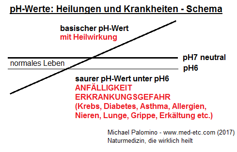 Le sch�ma avec les
                            valeurs de pH: acide sous pH6 (sensibilit�
                            et risque de maladie), entre pH6 et pH7 pour
                            la vie normale, la valeur de pH neutre pH7
                            et la valeur de pH de gu�rison entre pH7 et
                            pH8
