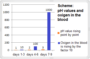 The
                      scheme shows the increasing pH and the potential
                      increase of oxygen in the blood by a factor of 10
                      per pH point
