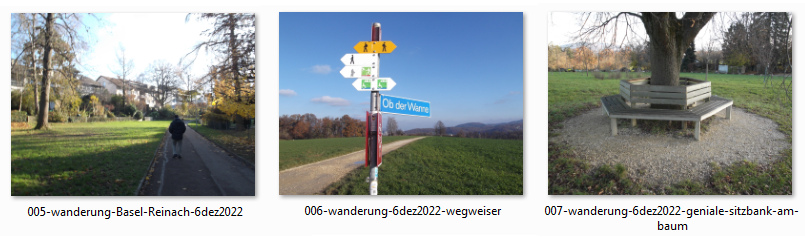 Store oxygen which has a
                    healing effect in the blood: hike from Basel to
                    Reinach, Dec 6, 2022, photo collection