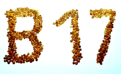 Schriftzug "B17" mit bitteren
                    Aprikosenkernen