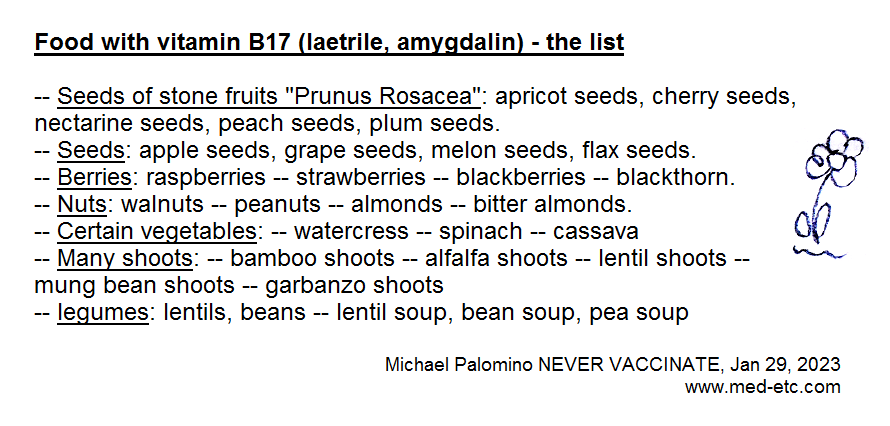 Food with
                                          vitamin B17 (laetrile,
                                          amygdalin) - the list -- Seeds
                                          of stone fruits "Prunus
                                          Rosacea": apricot seeds,
                                          cherry seeds, nectarine seeds,
                                          peach seeds, plum seeds. --
                                          Seeds: apple seeds, grape
                                          seeds, melon seeds, flax
                                          seeds. -- Berries: raspberries
                                          -- strawberries --
                                          blackberries -- blackthorn. --
                                          Nuts: walnuts -- peanuts --
                                          almonds -- bitter almonds. --
                                          certain vegetables: --
                                          watercress -- spinach --
                                          cassava -- many shoots: --
                                          bamboo shoots -- alfalfa
                                          shoots -- lentil shoots --
                                          mung bean shoots -- garbanzo
                                          shoots -- legumes: lentils,
                                          beans -- lentil soup, bean
                                          soup, pea soup