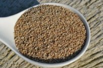 Sesame
                                        seeds