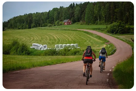 Riding a bicycle /
                  cycling -- a bike tour is also excellent for the back