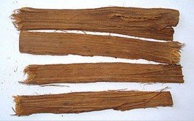 U�a de gato, corteza