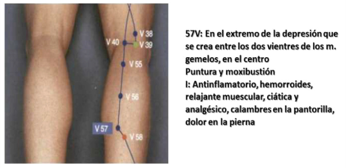 Puntos Lumbagos con el punto V57