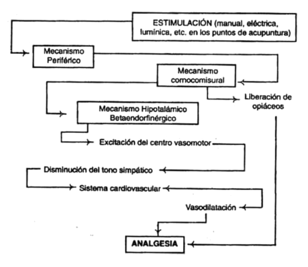 Esquema