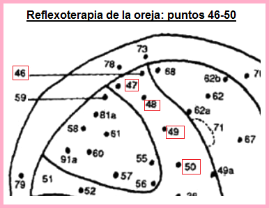 La oreja con los
                            puntos 46 a 50