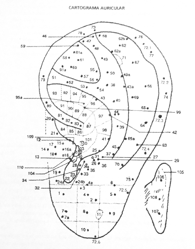 Die
                        Ohr-Nervenpunkte mit der internationalen
                        Nummerierung