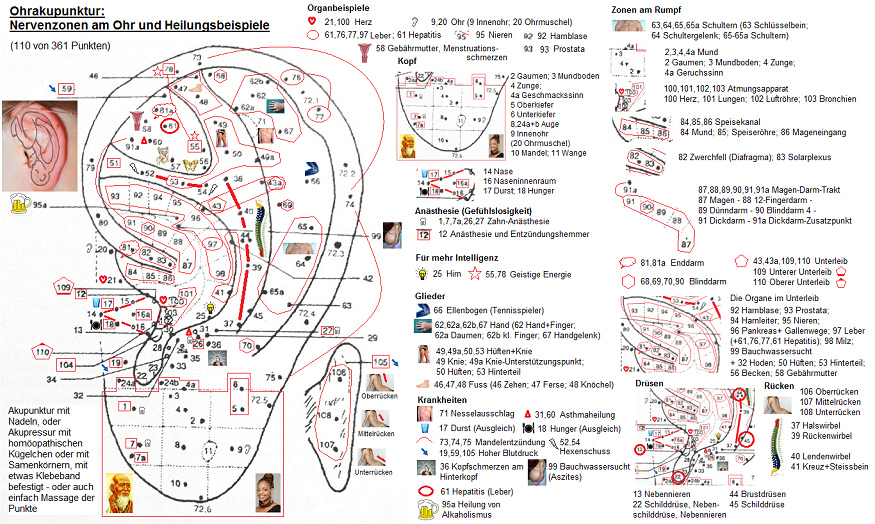 Ohrakupunktur: Nervenzonen am Ohr und
                          Heilungsbeispiele (110 von 361 Punkte)