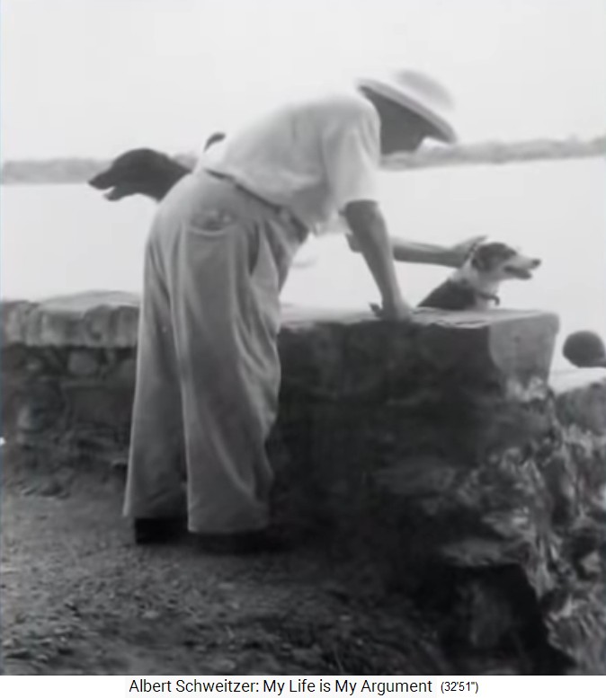 Lambarene: Albert Schweitzer pflegt
                    Hunde, 1963ca.