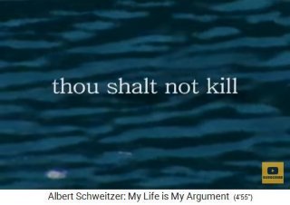 Ein Gebot "Du sollst nicht t�ten"