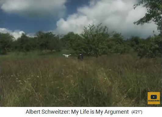 Albert Schweitzer
                    verscheucht die V�gel und rettet so die V�gel